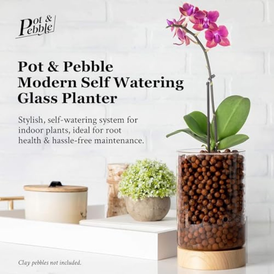 Glass Planter with Wooden Base - Clay Pebble Growing のレビューと価格