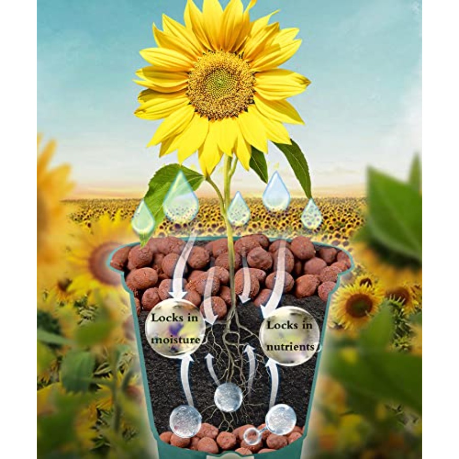 Voulosimi Clay Pebbles Hydropo - Clay Pebble Growing のレビューと価格