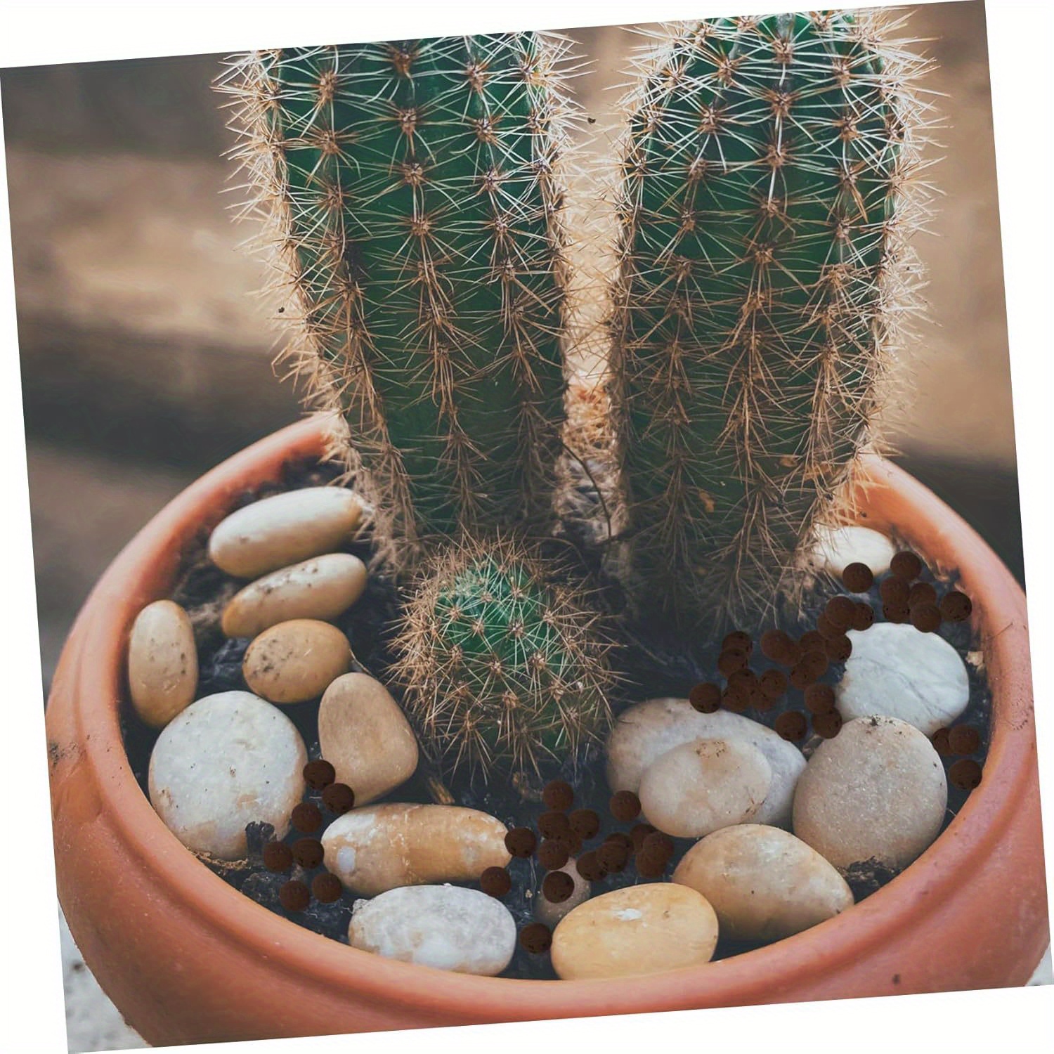 450-500g Aquarium Hydroponic C - Clay Pebble Growing のレビューと価格