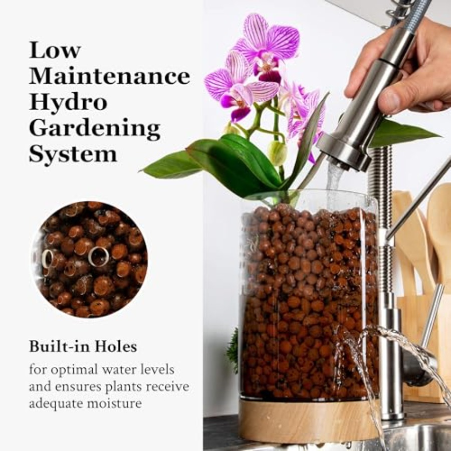 Glass Planter with Wooden Base - Clay Pebble Growing のレビューと価格