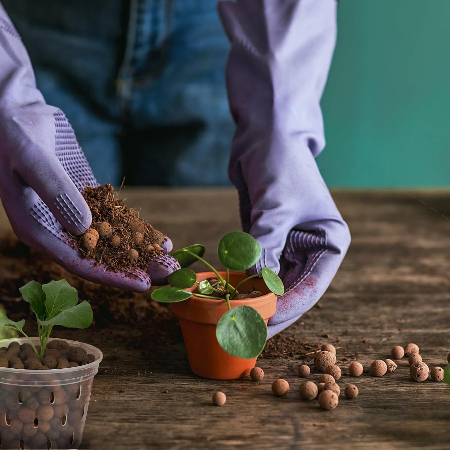 2L/1L Organic clay balls, Flow - Clay Pebble Growing のレビューと価格