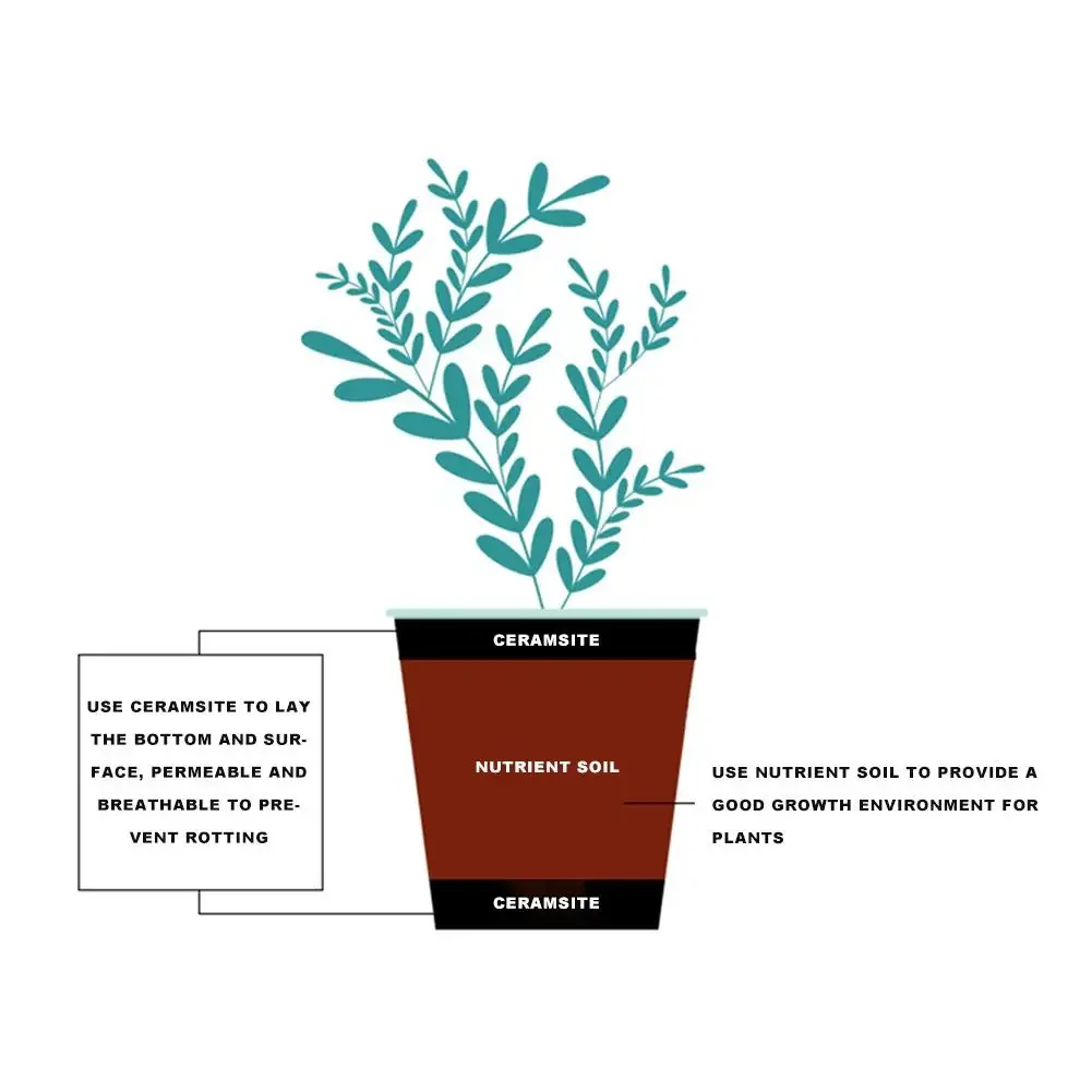 1L Natural Expanded Clay Pebbl - Clay Pebble Growing のレビューと価格