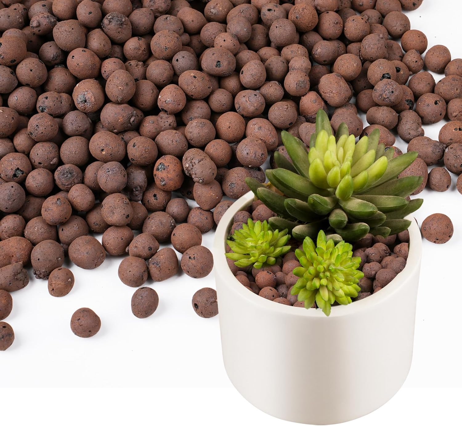 100/200G Clay Pebbles for Plan - Clay Pebble Growing のレビューと価格