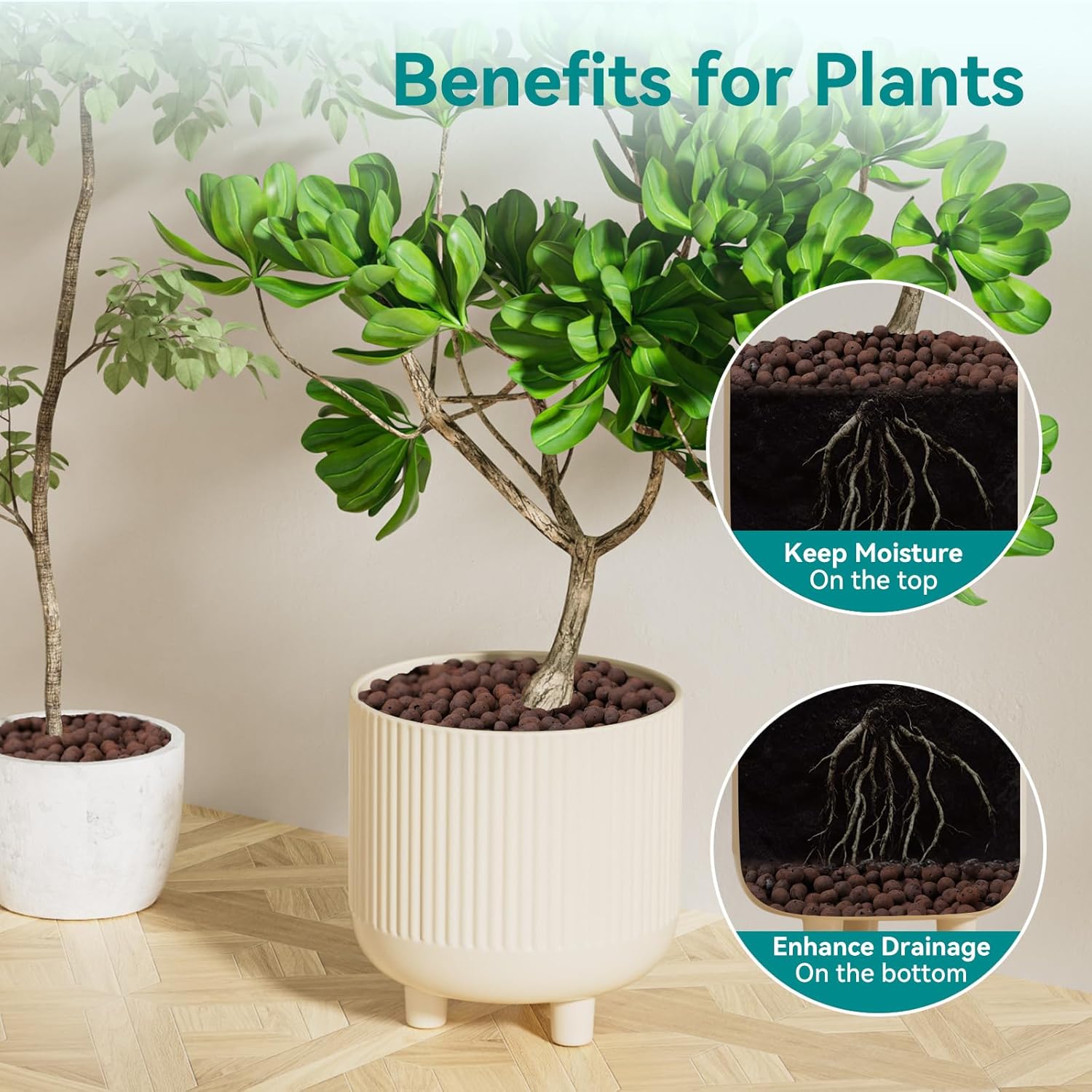 100/200G Clay Pebbles for Plan - Clay Pebble Growing のレビューと価格