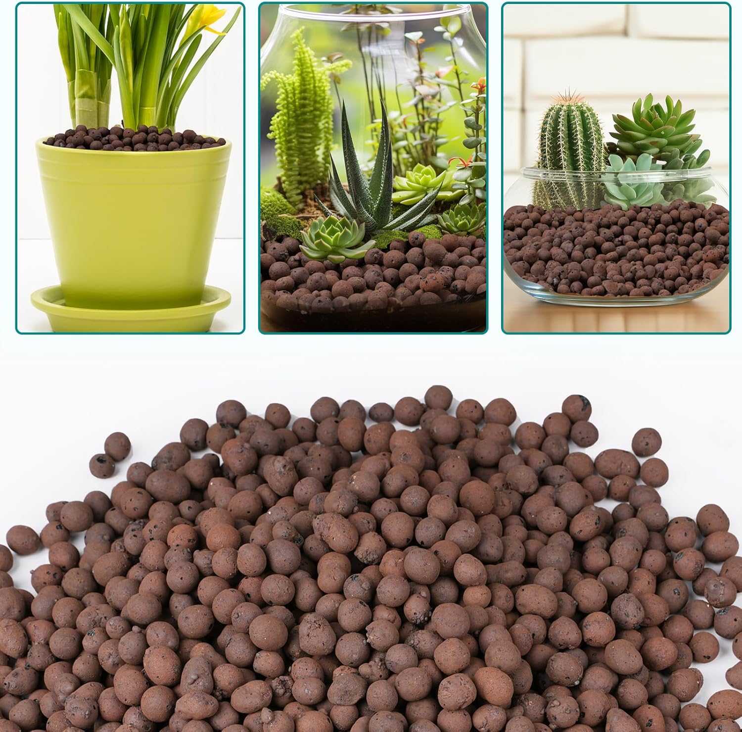 100/200G Clay Pebbles for Plan - Clay Pebble Growing のレビューと価格