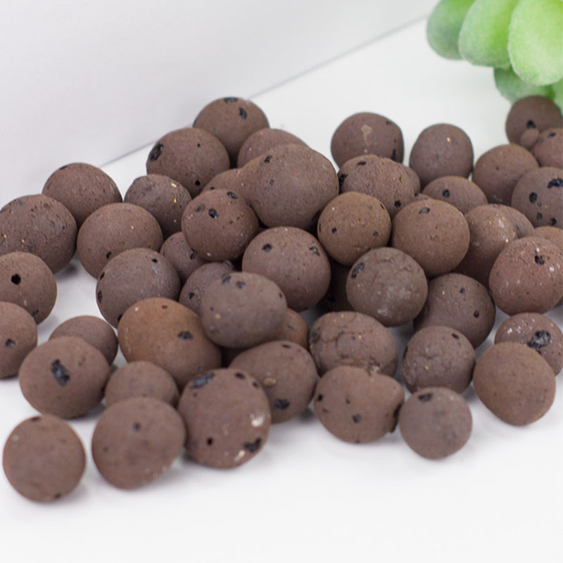 500g Organic light ceramsite C - Clay Pebble Growing のレビューと価格