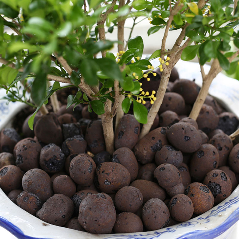 500g Organic light ceramsite C - Clay Pebble Growing のレビューと価格