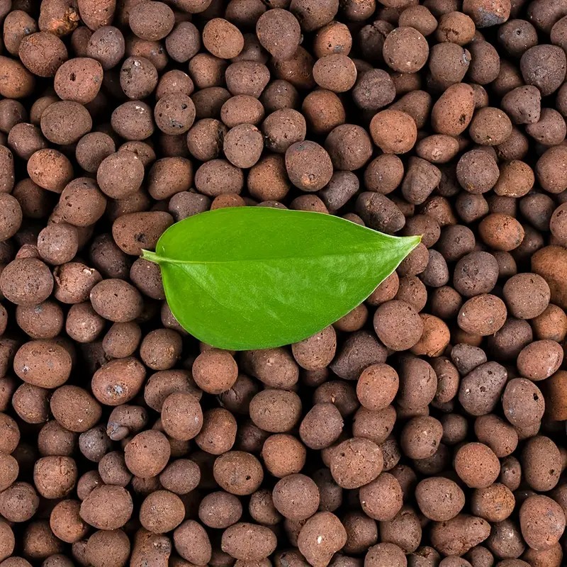 1LB Reusable Hydroponic Clay P - Clay Pebble Growing のレビューと価格